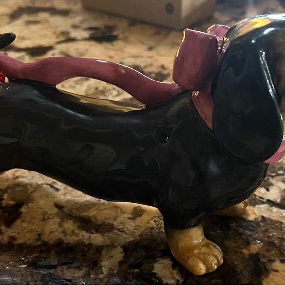 Blue Sky Doxie - Picture 3 of 4